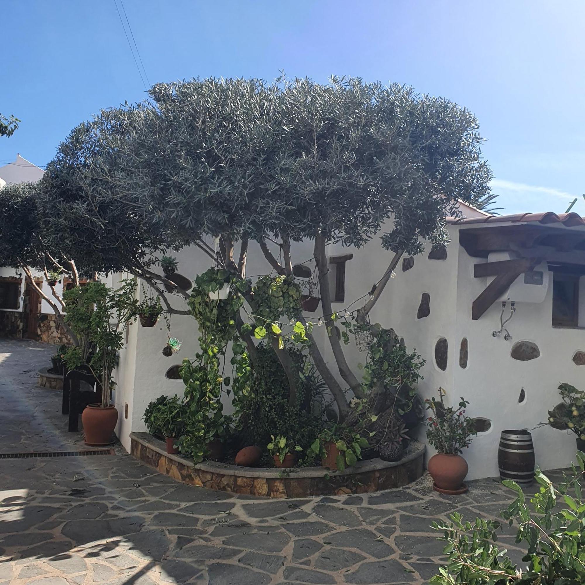 La Gallania De Papa Pepe Santa Lucia Exteriör bild